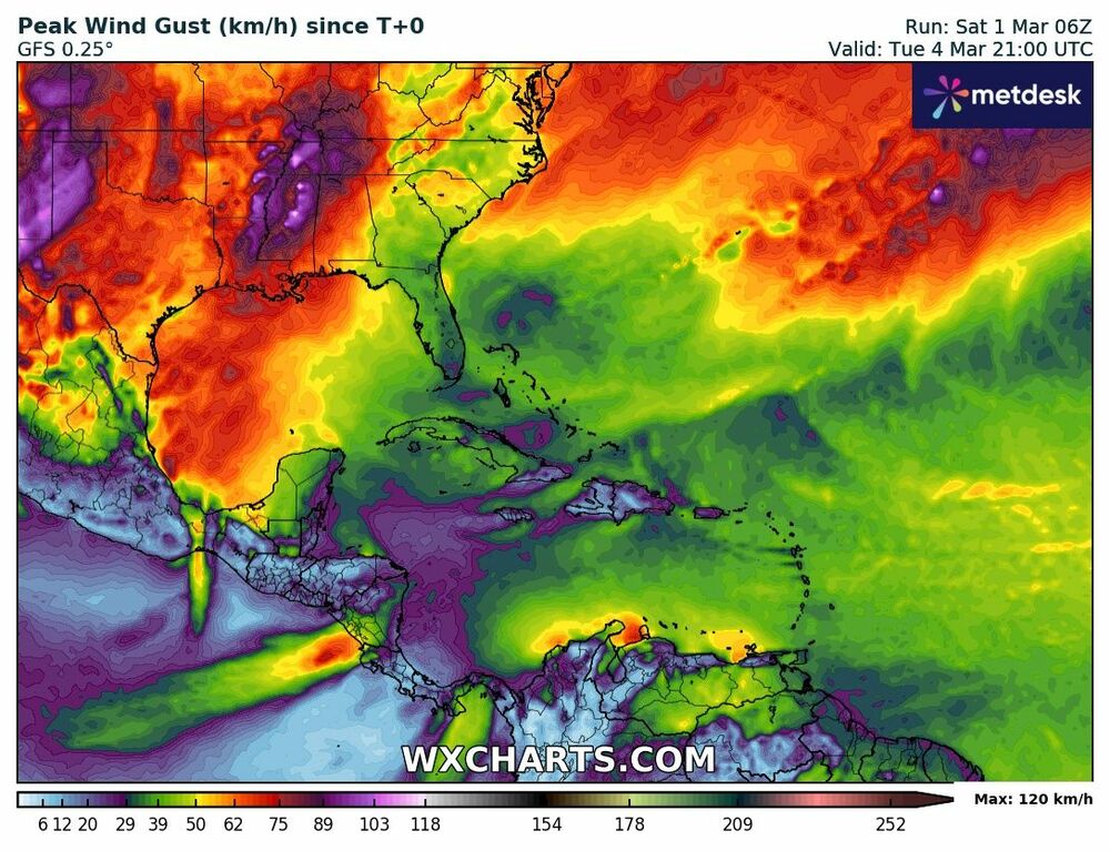 Maximum Wind Gusts Map for Mexico – Forecast for March 4, 2025