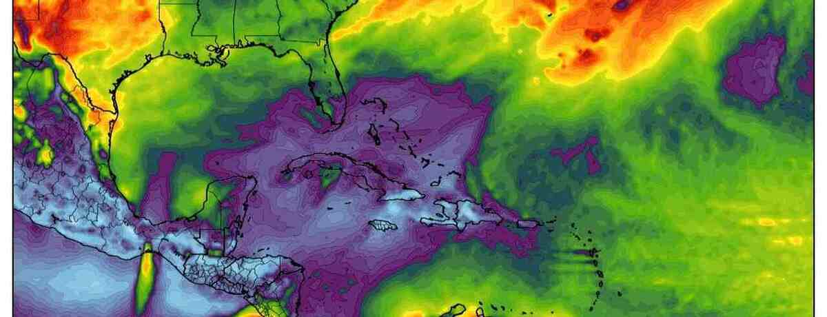 Alerta meteorológica en el norte: ráfagas de viento superiores a 60 km/h. Consulta el clima para el 2 de marzo de 2025